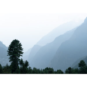 Foto print - Misty Mountains